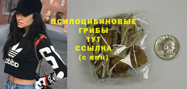 гидропоника Гусиноозёрск