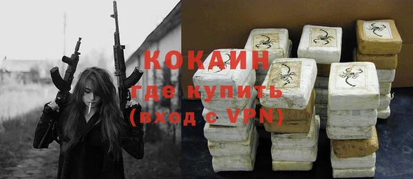 гидропоника Гусиноозёрск