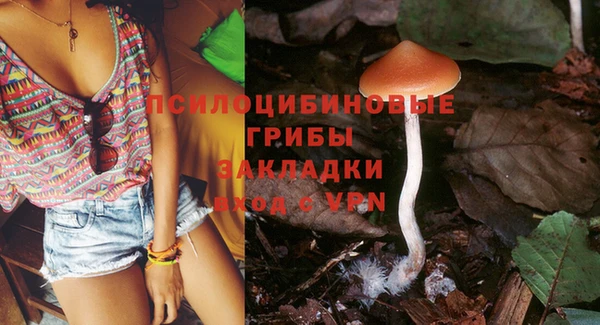 прущая мука Горно-Алтайск