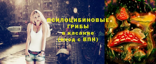 спиды Гусь-Хрустальный
