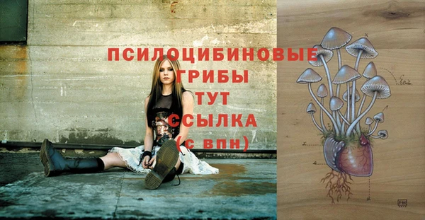 спиды Гусь-Хрустальный
